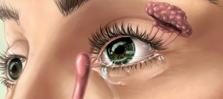 Tudo sobre Avaliação das vias lacrimais